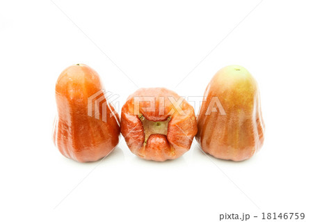 rose apple on white background rose apple on white background 18146759