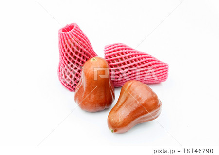 rose apple on white background 18146790