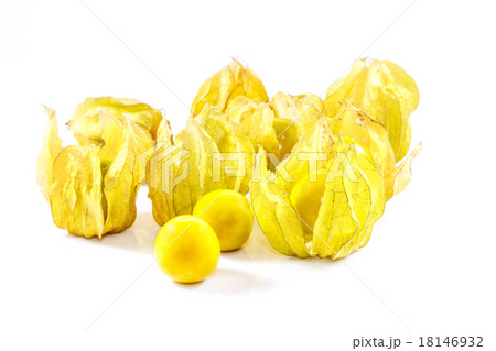 Cape gooseberry on white background Cape gooseberry on white background 18146932