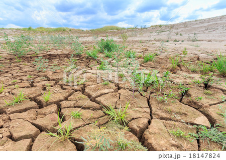 surface crack of soil in arid area surface crack of soil in arid area 18147824