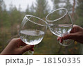 乾杯 18150335