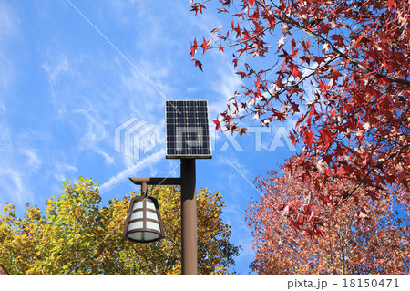 紅葉と太陽光パネル 紅葉と太陽光パネル 18150471