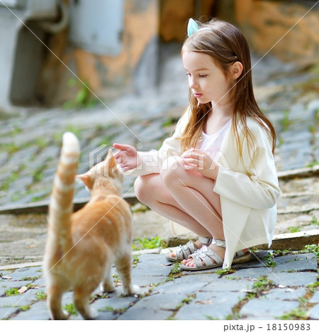 Adorable little girl and a cat 18150983
