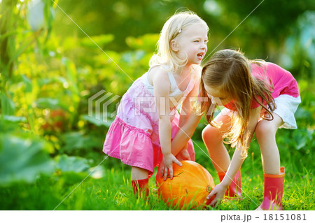 Two little sisters playing with huge pumpkins Two little sisters playing with huge pumpkins 18151081