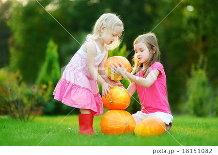 Two little sisters playing with huge pumpkins Two little sisters playing with huge pumpkins 18151082