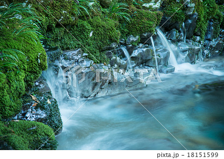 円原川 日本一の伏流水 の写真素材