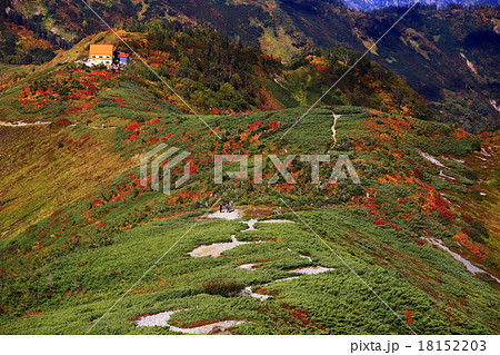 爺ヶ岳登山道 18152203
