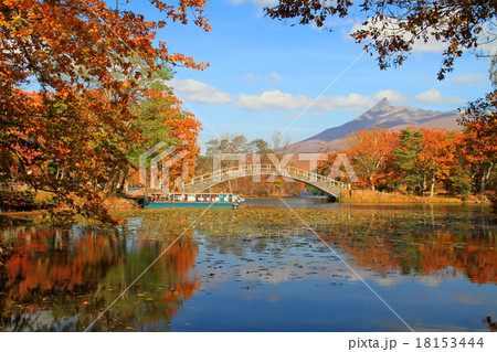 函館大沼公園 函館大沼公園 18153444