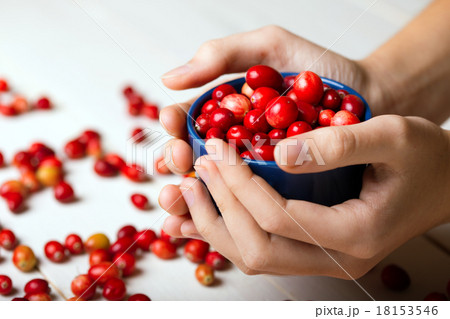 cranberries 18153546