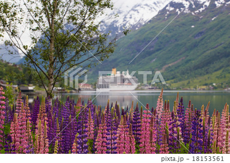 mountain landscape 18153561