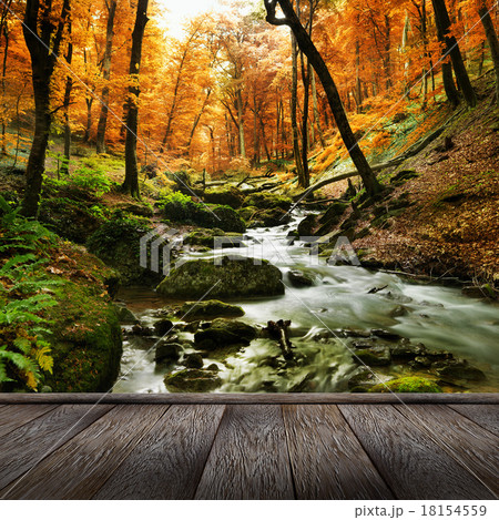 Shoal of Glassfish  in clear blue water  18154559