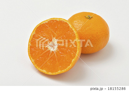 みかん 18155286