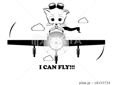 Boso flying on plane. I can fly. 18155734