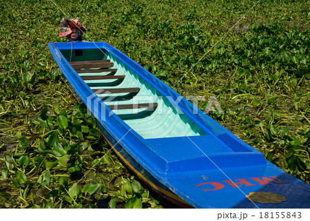 カンボジア シェムリアップ トレンサップ湖 カンボジア シェムリアップ トレンサップ湖 18155843