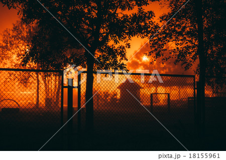 Dark silhouettes of trees and a fence. Dark silhouettes of trees and a fence. 18155961