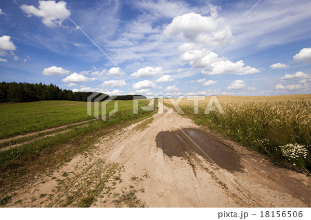 the rural road the rural road 18156506