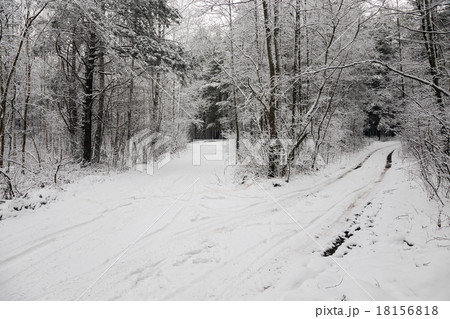 the winter road the winter road 18156818
