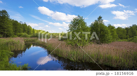 the river  18156916