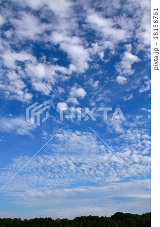 秋空の雲 18158761