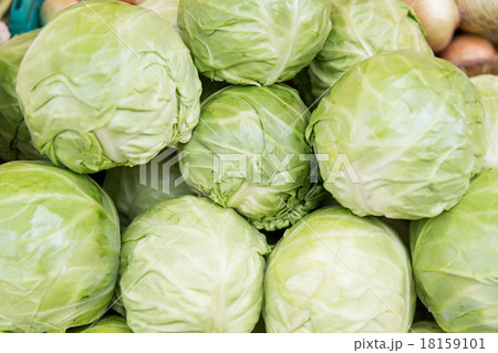 close up of cabbage at street market close up of cabbage at street market 18159101