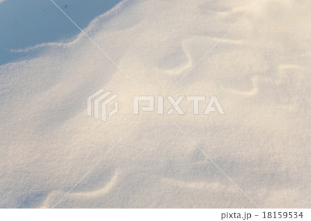snow. close up  18159534