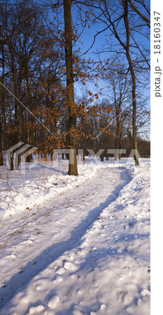 the winter road the winter road 18160347