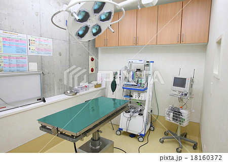 手術室 処置室 ペット 動物 手術室 処置室 ペット 動物 18160372