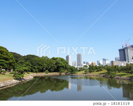 東京　浜離宮恩賜庭園 18161319