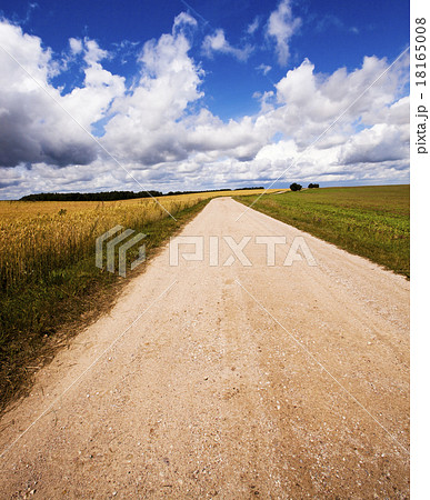 the rural road the rural road 18165008