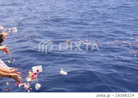 海洋散骨 18166224