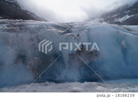 コロンビア大氷原 18166239