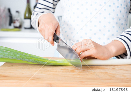 料理 料理 18167348