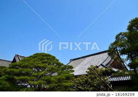 二条城　城内の風景 18169209