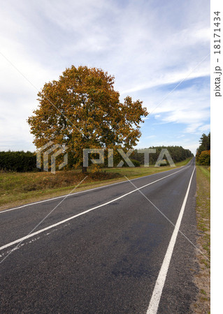 the autumn road  18171434