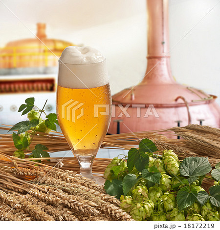 beer on tap 18172219