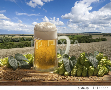 beer 18172227