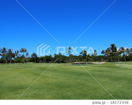 ワイアラエゴルフクラブ 18172356