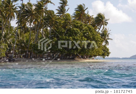 The island with palm trees in the sea through spla 18172745