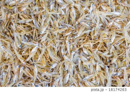 Small dry fishes 18174263