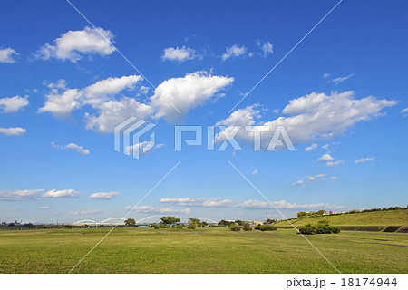 淀川河川公園 18174944