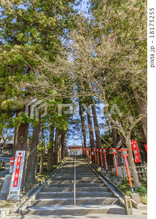 冬の東光院の参道の風景 冬の東光院の参道の風景 18175255