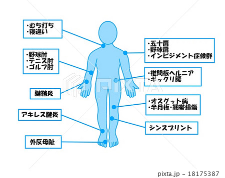 スポーツ障害 スポーツ障害 18175387