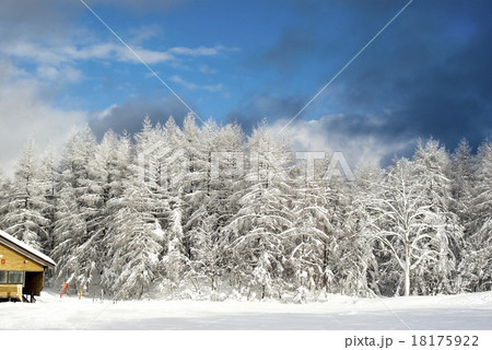 Ski resort, zao, tohoku, winter scenery 18175922