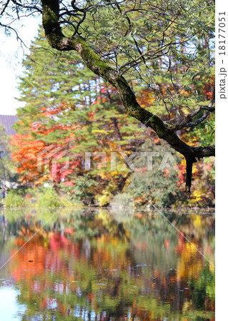 白秋の彩り 18177051