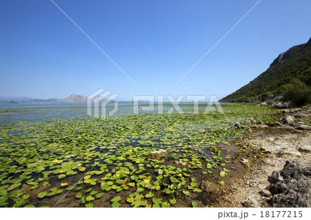 the lake. Montenegro 18177215