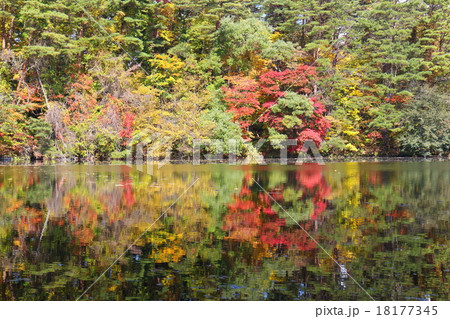 秋意の気配 秋意の気配 18177345