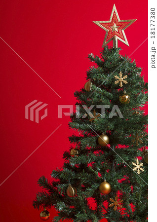 クリスマスツリー クリスマスツリー 18177380