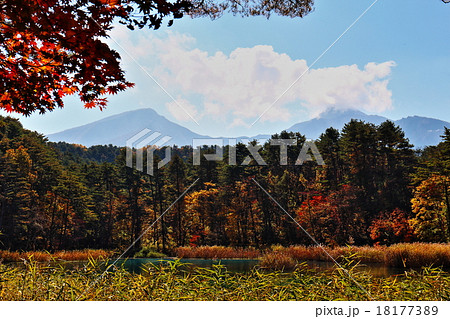 るり沼の愁映 18177389