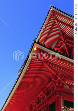 根本大塔 18177390