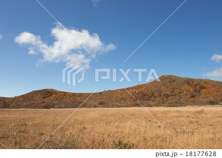 錦秋の雄国沼湿原 18177628